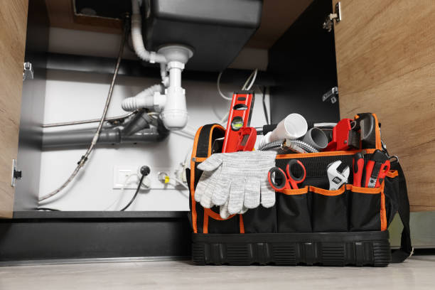 Best Plumbing Inspection Services  in Somerset, WI