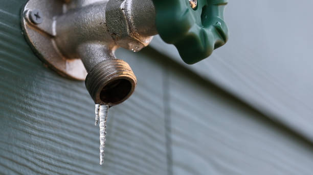 Best Plumbing Services Near Me  in Somerset, WI